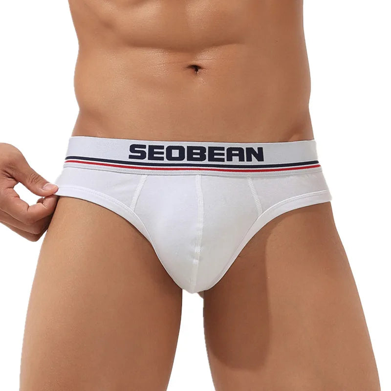 #PB Briefs Men's Thongs Underpants - passionbarn.com