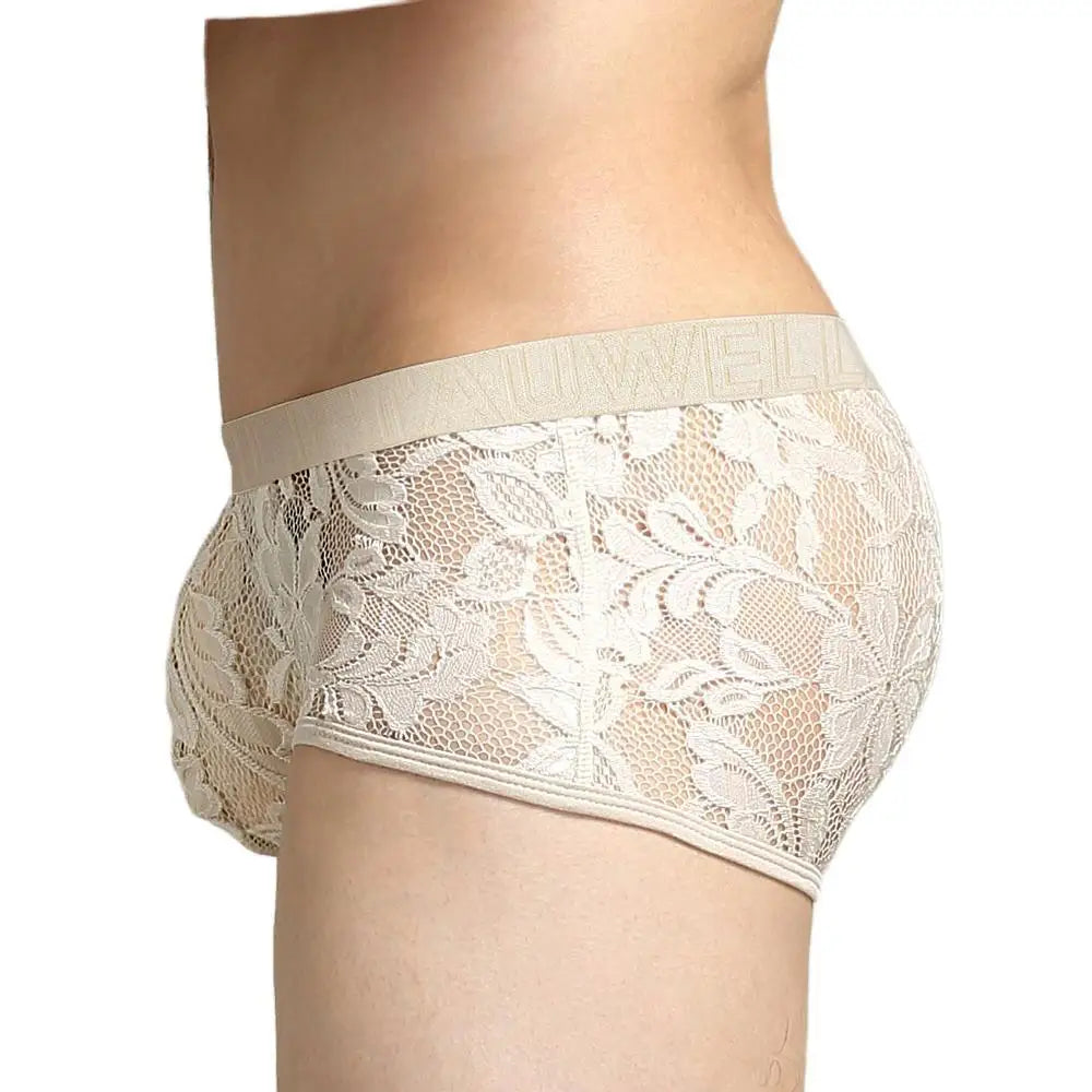 #PB Men's Boxers Lace Transparent Mesh Underwear - passionbarn.com