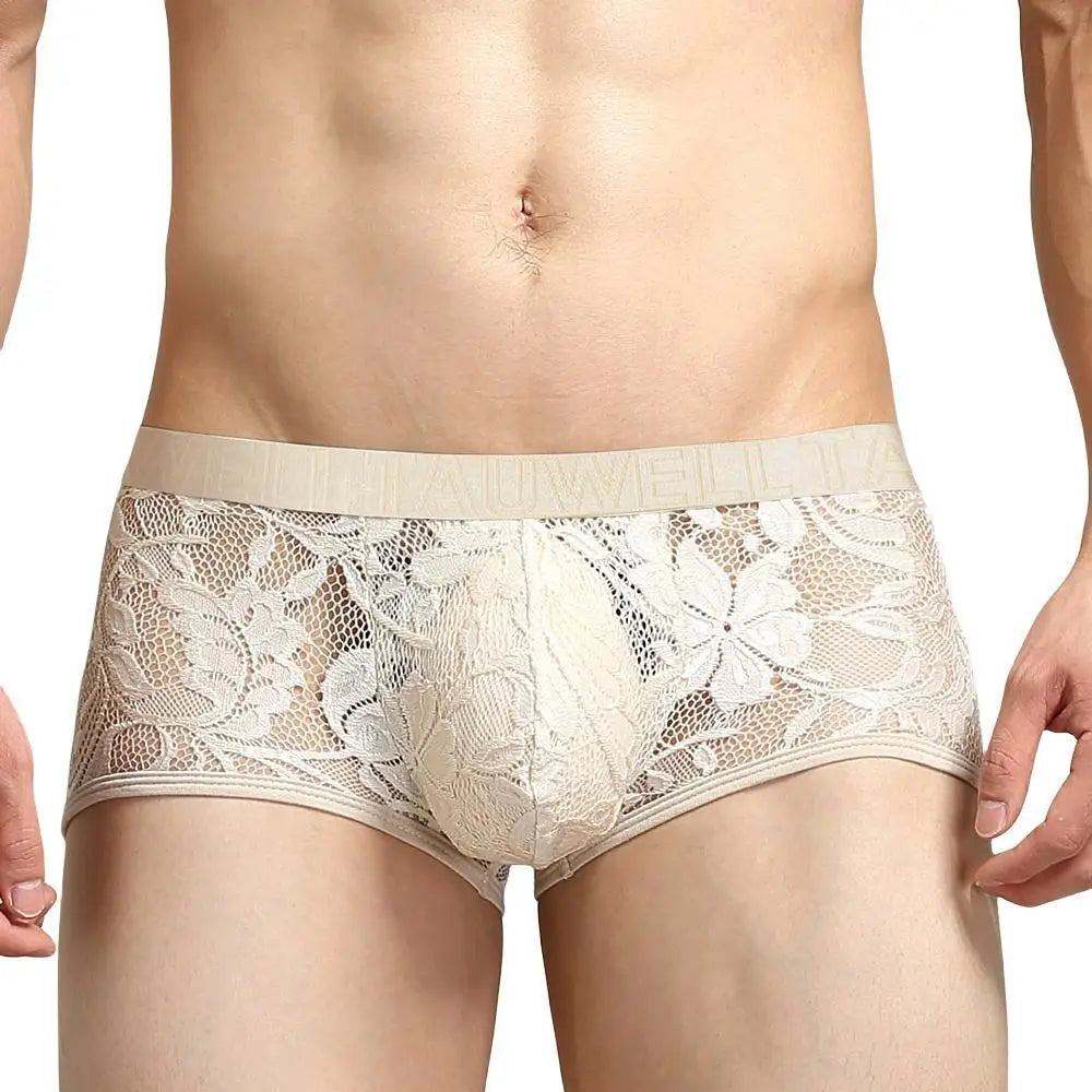 #PB Men's Boxers Lace Transparent Mesh Underwear - passionbarn.com