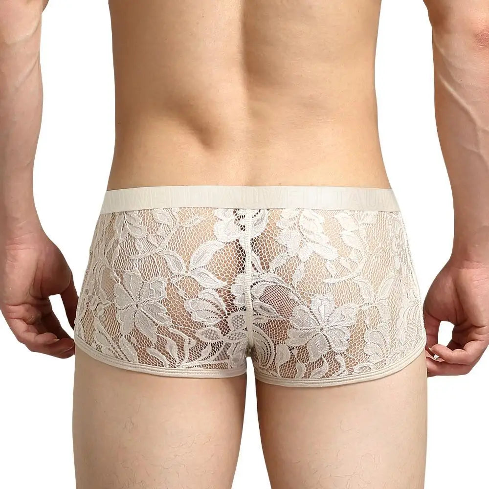 #PB Men's Boxers Lace Transparent Mesh Underwear - passionbarn.com