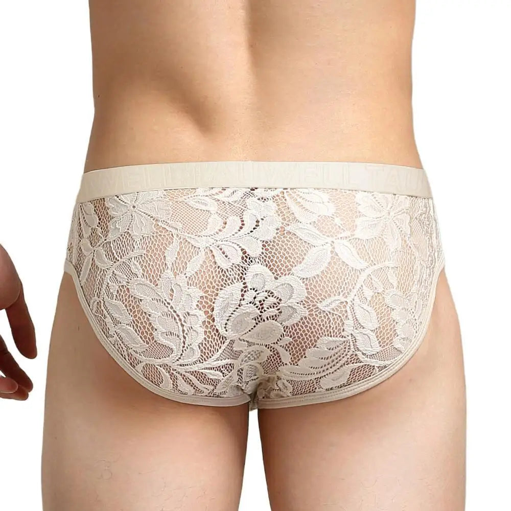 #PB Men's Lace Transparent Briefs Mesh See Through Underpants - passionbarn.com
