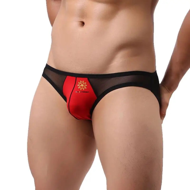 #PB High Quality Men's Briefs Transparent Mesh Underpants - passionbarn.com