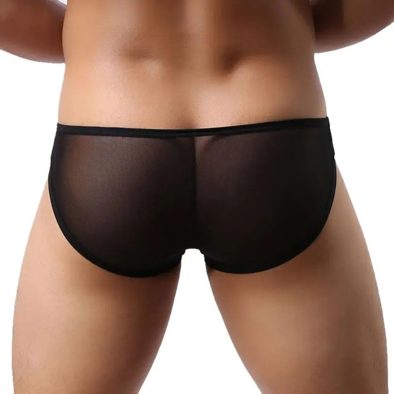 #PB High Quality Men's Briefs Transparent Mesh Underpants - passionbarn.com