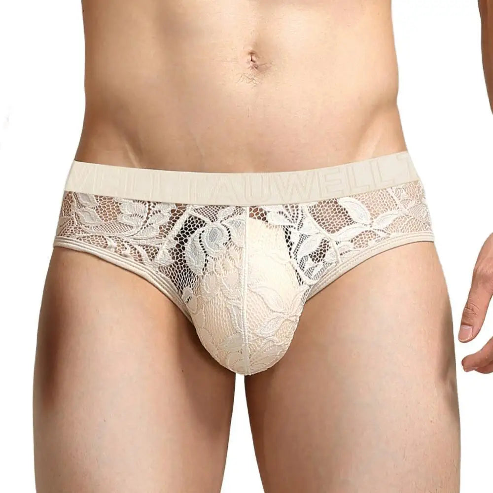 #PB Men's Lace Transparent Briefs Mesh See Through Underpants - passionbarn.com