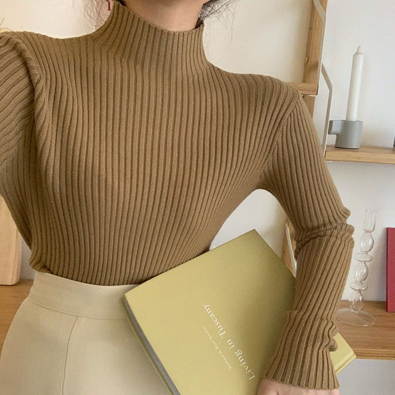#PB Chic Long Sleeve Casual Turtleneck - passionbarn.com