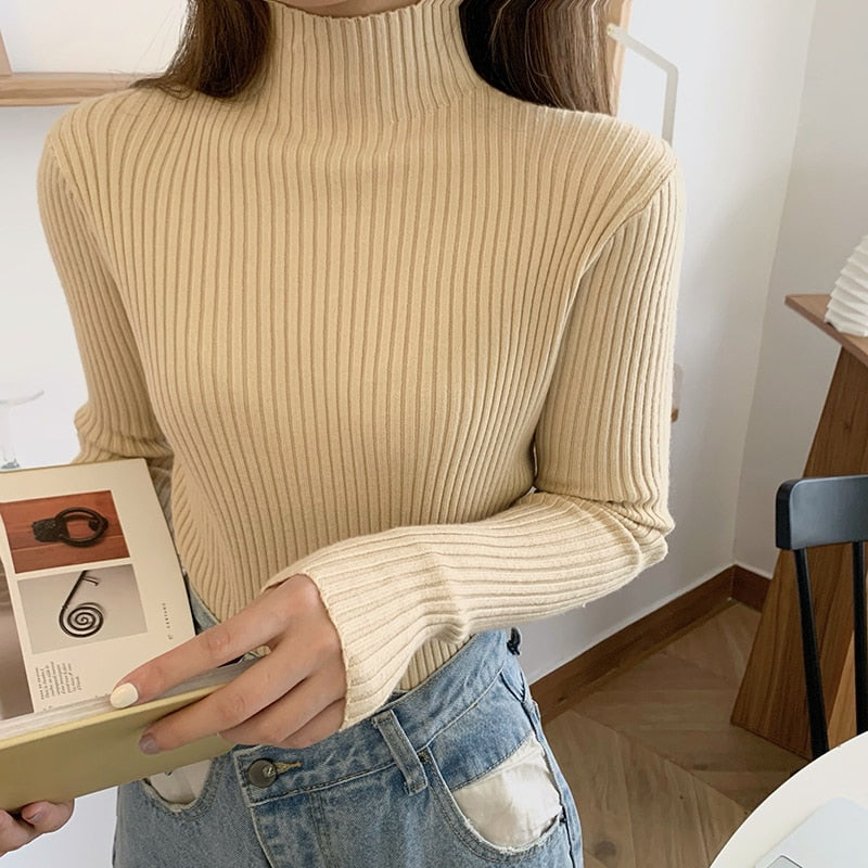 #PB Chic Long Sleeve Casual Turtleneck - passionbarn.com