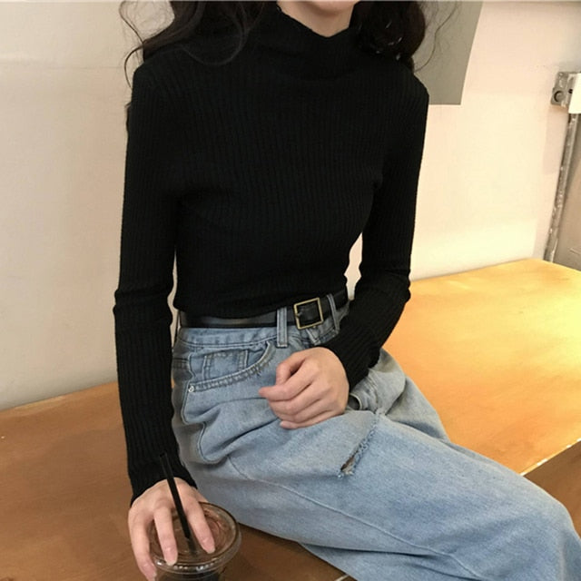 #PB Chic Long Sleeve Casual Turtleneck - passionbarn.com