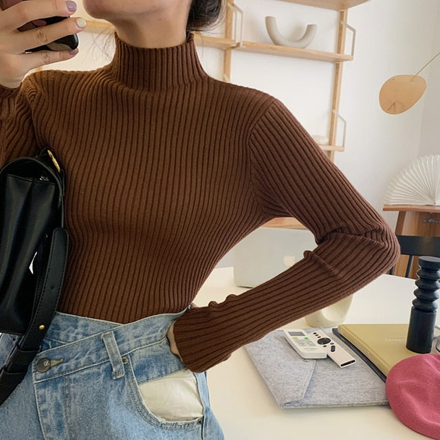#PB Chic Long Sleeve Casual Turtleneck - passionbarn.com