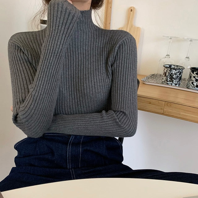 #PB Chic Long Sleeve Casual Turtleneck - passionbarn.com