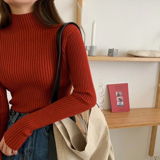 #PB Chic Long Sleeve Casual Turtleneck - passionbarn.com